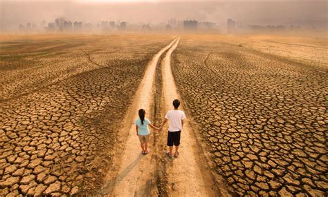 Antropoceno El Impacto Humano En La Tierra Desde Mediados Del Siglo Xx