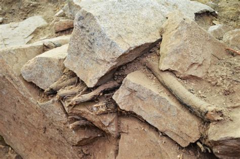 Castelo De Alferce Revela Os Seus Segredos Em Mais Uma Campanha