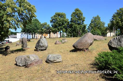 Pomnikowe G Azy Narzutowe W Zielonej G Rze Lubuskie Pomniki Przyrody