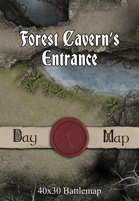 40x30 Battlemap Forest Caverns Entrance Seafoot Games Caverns