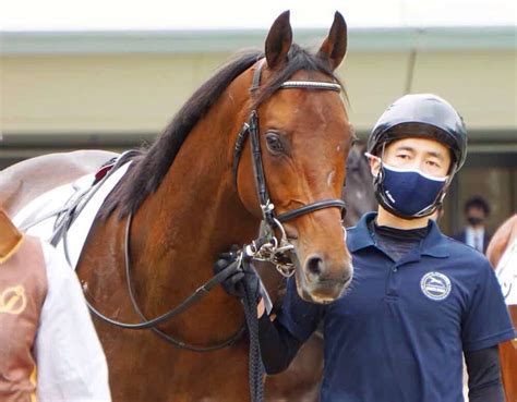 10月15日東京競馬☆2r☆2歳未勝利☆シルバーティムール☆アンタッチャブル 公式：黒澤ひかりのキラキラ日記～magic Kiss Lovers Only～