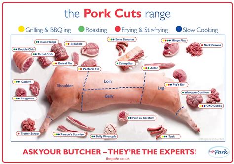 Printable Pork Cuts Chart