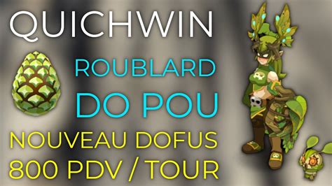 DOFUS QUICHWIN ROUBLARD DO POU TANK DOFUS SYLVESTRE 500 PDV ALL