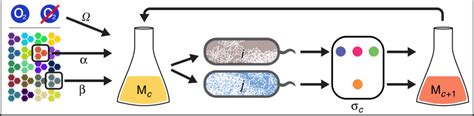 Simplified Schematic Illustrating The In Silico Experiments A Growth Download Scientific