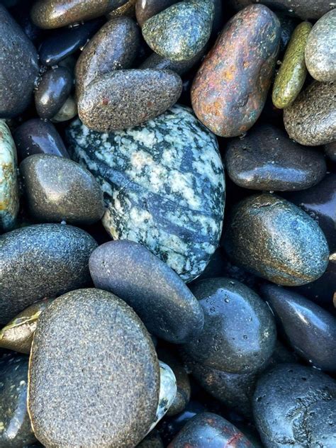 32875. Beach Rocks: An Afternoon at Rialto Beach on the Washington ...