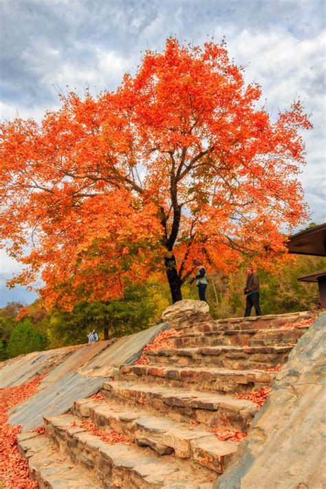 Colorful fall foliage decorate this stone staircase in Beavers Bend ...