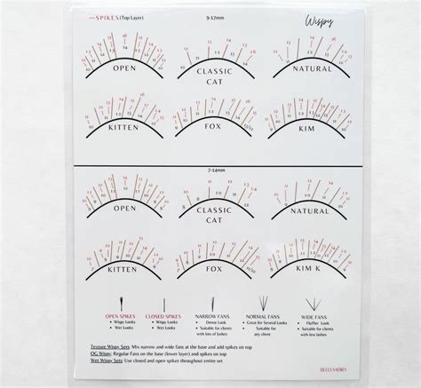 Wispy Eye Shape Chart Laminated Chart In Eye Shape Chart