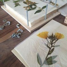 Herbarium How To Freshly Pressed Pressed Flowers Diy Pressed