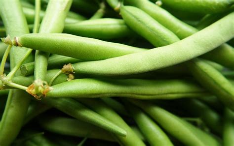 Dehydrated Green Beans Bulk Food Ingredient | Dehydrates Inc