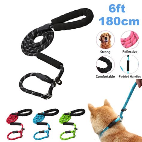 Strong Sturdy With Traffic Padded Two Handles Anti Choking Dog Leash