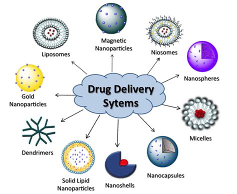 Drug Delivery Systems For The Diagnosis And Or Therapy Of Various