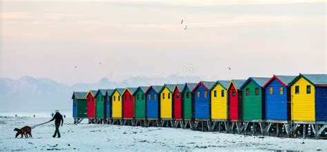 Muizenberg beach stock image. Image of south, scenery - 113954633