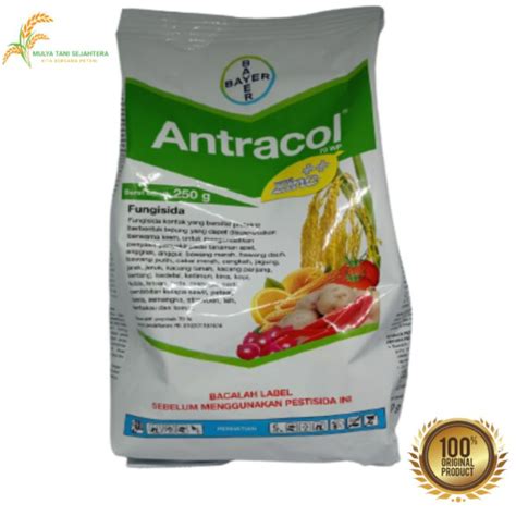 Jual Fungisida ANTRACOL 70WP ZINC 250 Gr Untuk Pengendalian Hama