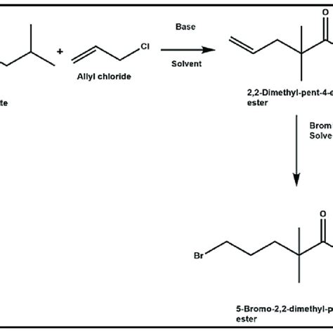 Reaction Mechanism For The Formation Of Bromo Dimethyl Pentanoic