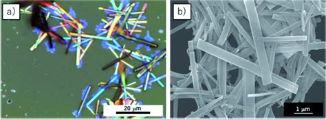 A Optical Microscopy Image And B Sem Image Of C Tpp