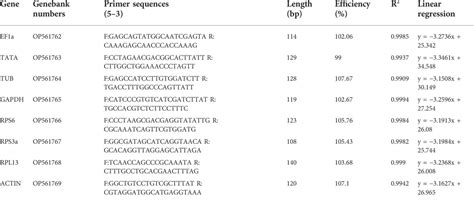 Frontiers Selection And Validation Of Reference Genes For Rt Qpcr