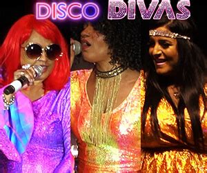 1970's Female Artists Tribute: Disco Divas - TSE Entertainment