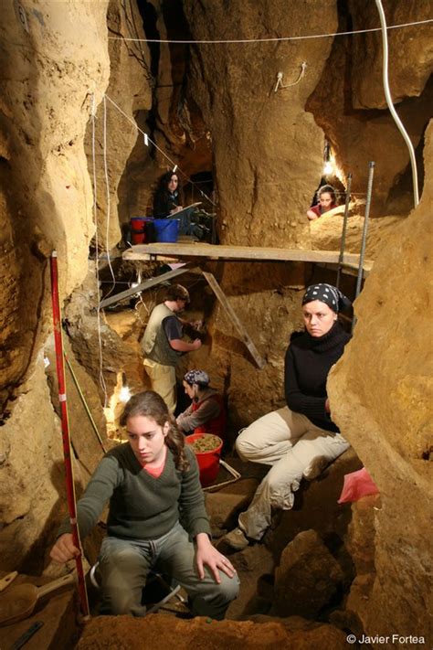 Cueva Del Sidron Neanderthais E Medicina