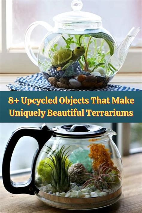 Upcycled Objects That Make Uniquely Beautiful Terrariums Artofit