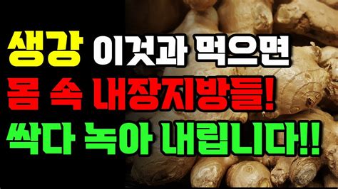 생강 이것과 먹으면 몸 속 내장지방들 싹다 녹아내립니다 Youtube