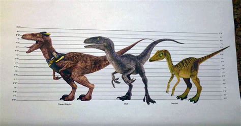 Indoraptor Size Chart