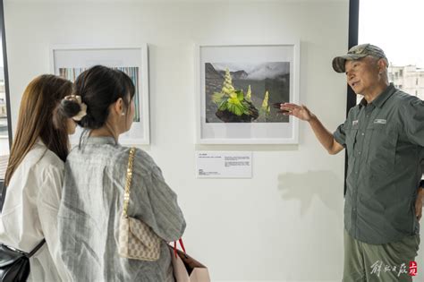 世界地球日：百幅顶级野生生物影像作品亮相黄浦江畔