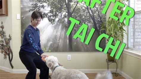 Dog Assists with Tai Chi Practice! – Five Element Harmony