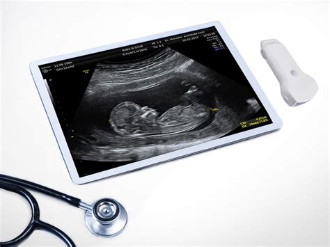 Enter Handheld Ultrasound