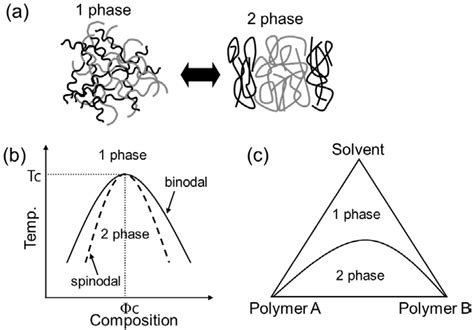 Polymer Phase Diagram