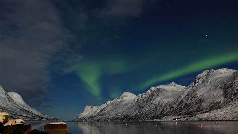 Can you See the Northern Lights in the Norwegian Fjords? - True Scandinavia