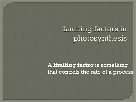 Photosynthesis Light Independent Reactions And Limiting Factors Ppt Download