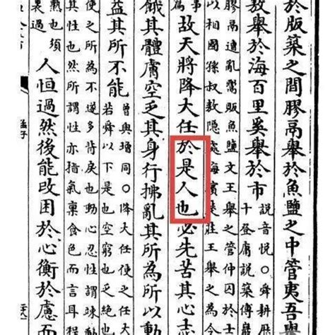 故天将降大任于是人还是斯人