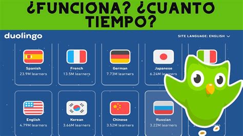 Tutorial Duolingo Como Usar Correctamente Ingl S Franc S Alem N