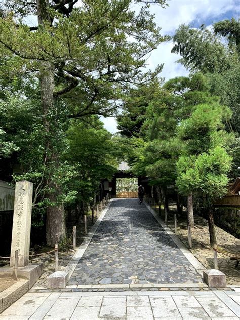 【京都】おさえておきたい大定番の神社仏閣5選！モデル・本山順子が巡るおすすめスポット。 記事詳細｜infoseekニュース