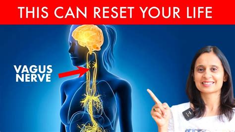 How To Activate Your Vagus Nerve Reset Your Life Hitanshi Youtube