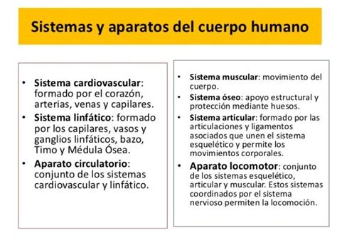 Diferencias Entre Aparatos Y Sistemas Del Cuerpo Humano Cuadro Comparativo Sistemas Del