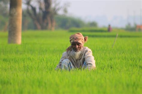 Premium Photo Village Farmer Is Working In The Field To Planting