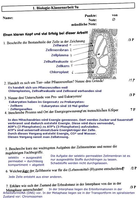 Klassenarbeit Zu Zellen Biologie Biologie Unterrichten Lernen Tipps