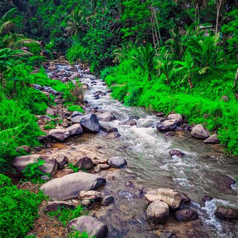 Leuwi Asih Tracking Sentul Wisata Sentul Guide Sentul