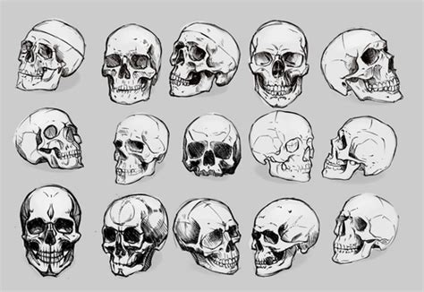 Grafika Skull And Black Skeleton Head Drawing Skulls Drawing Skeleton