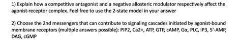 Solved 1) Explain how a competitive antagonist and a | Chegg.com
