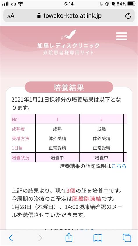 【klc採卵周期】d15 受精確認のメール（培養結果閲覧システム） 結婚12年目41歳ポジティの7年不妊治療記録→第一子7ヶ月で死産