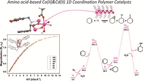 Phenylalanine Based Co And Cd D Coordination Polymers Structural