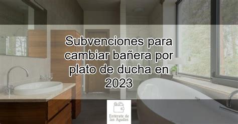 Subvenciones Para Cambiar Ba Era Por Plato De Ducha En