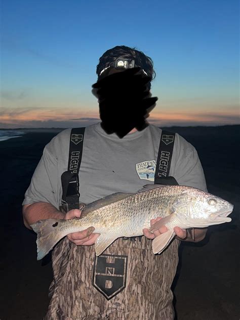 Nice puppy drum from Frisco beach on Wednesday night : r/NCFishing