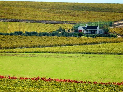 Media Library Wellington Wine Route - Visit SA Winelands