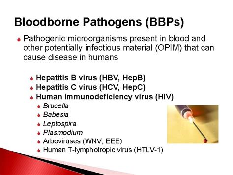 University Of Florida Bloodborne Pathogen Training Biological Safety