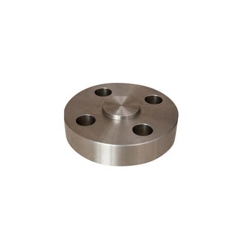 Ansi B Ss Blrf Blind Flanges Application Industrial At Best Price