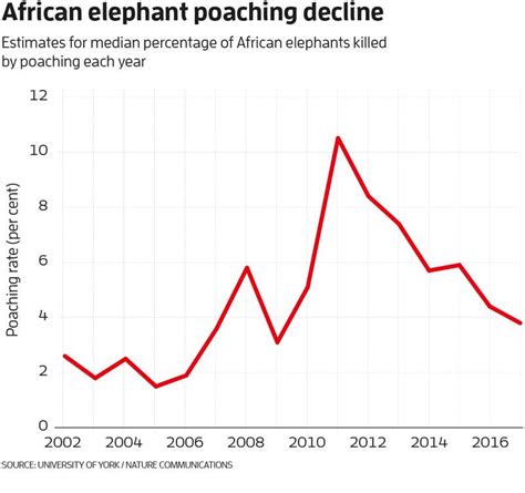 African elephant poaching is falling at last – but it’s still too high ...