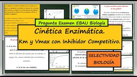 Cin Tica Enzim Tica Gr Fica Km Y Vmax Con Inhibidor Competitivo